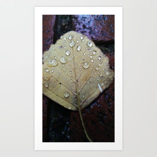 Untitled Art Print