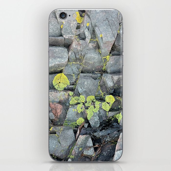 Nature's ombre  iPhone Skin
