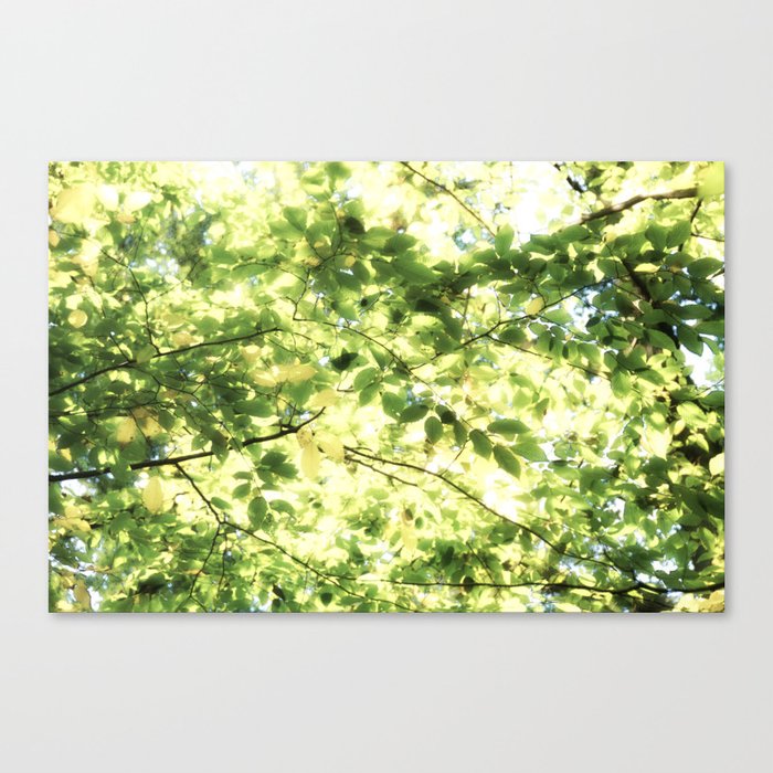 Bright Day-green leaves Canvas Print