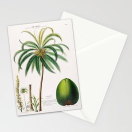 Coconut palm from "Flore d’Amérique" by Étienne Denisse, 1840s Stationery Card