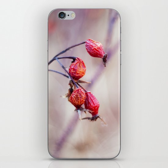 Rose Hips iPhone & iPod Skin