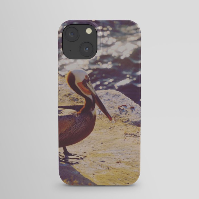 Pacific Pelican iPhone Case