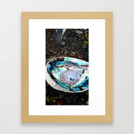 Beautiful Paua at the beach Framed Art Print