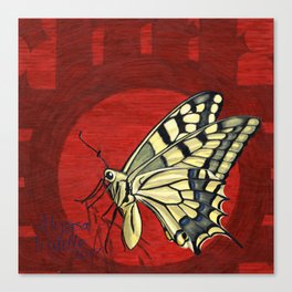 Edwin the Butterfly Canvas Print