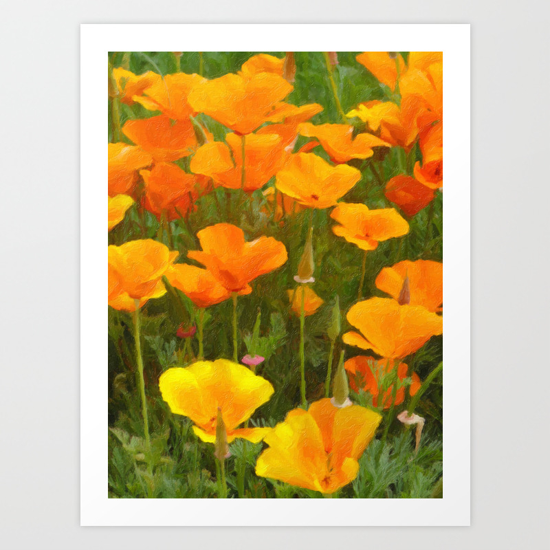 California Poppies Art Art Print By Eveystudios Society6