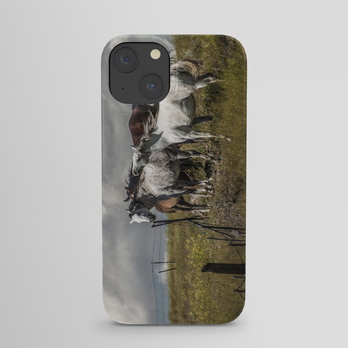 Western Horses by the Pasture Fence under a Cloudy Sky in Montana iPhone Case