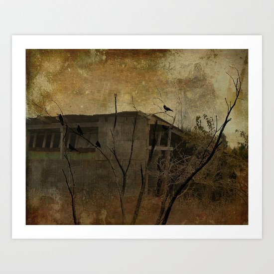 Grungy Old Shed Art Print