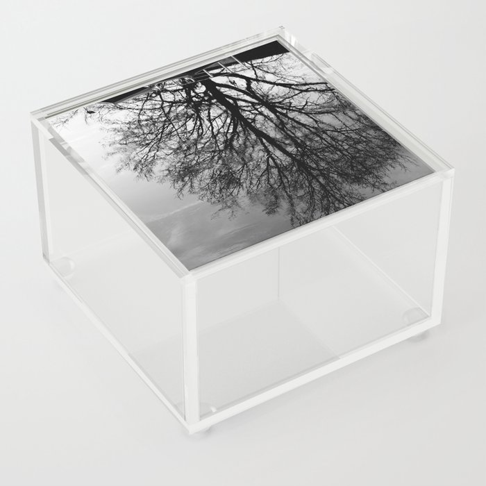 Winter tree reflection in lake still water  Acrylic Box