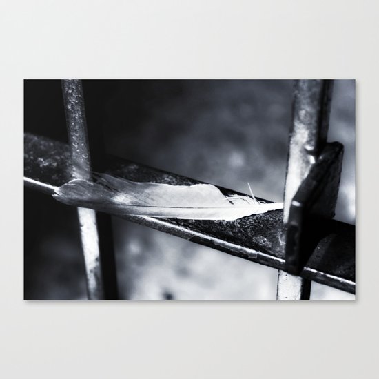 Caged bird free. Canvas Print