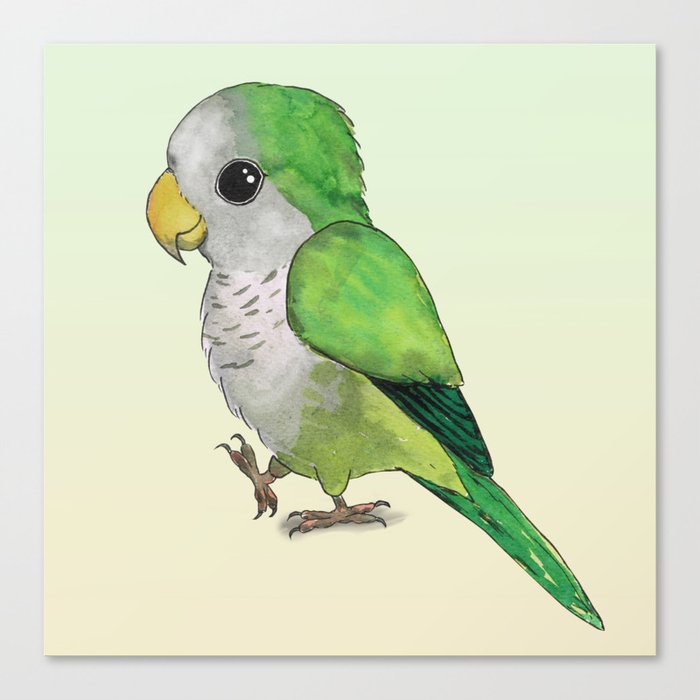Very Cute Green Parrot Canvas Print By Wizzies Society6