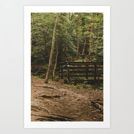 Over to the Next Adventure Art Print