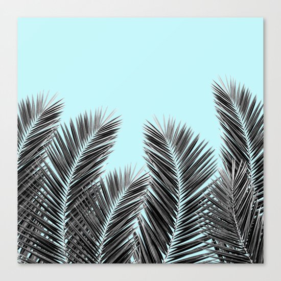 Clear Palm Skies Canvas Print