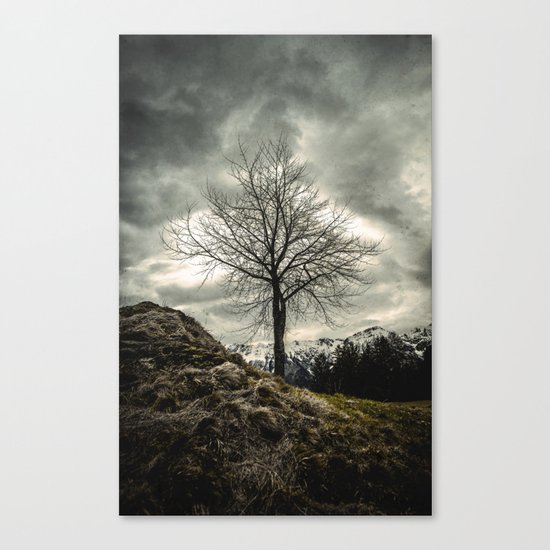 Against the Wind Canvas Print