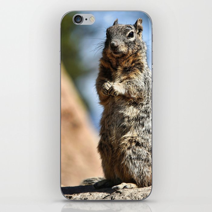 Squirrel portrait iPhone Skin