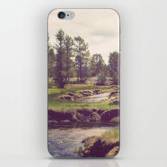 Down Time's Quaint Stream iPhone & iPod Skin