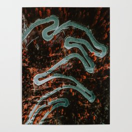 Winding Road Forest (Color) Poster