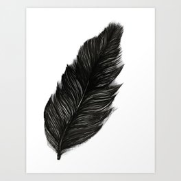 Psalm 91:4 Black Feather Art Print