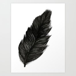 Psalm 91:4 Black Feather Art Print | Beautifulfeather, Flowingfeather, Featherdecor, Feather, Birdsfeathers, Fullfeather, Largefeather, Blackfeather, Feathers, Prettyfeathers 