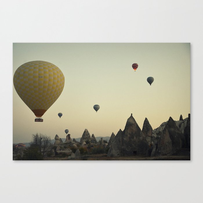 Flight Canvas Print