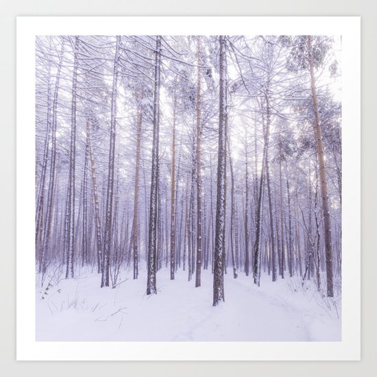 Snow in Trees Art Print