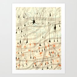 Nerve Cells Art Print