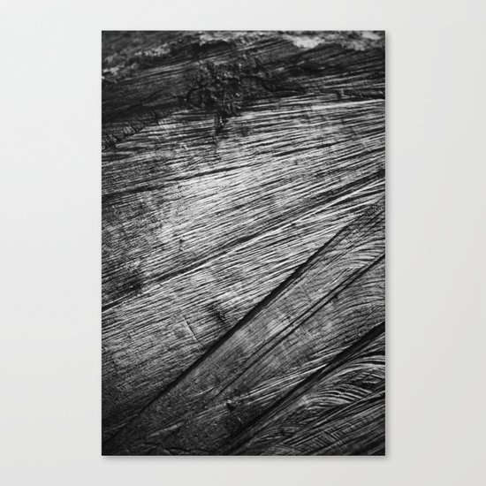 Wood Canvas Print