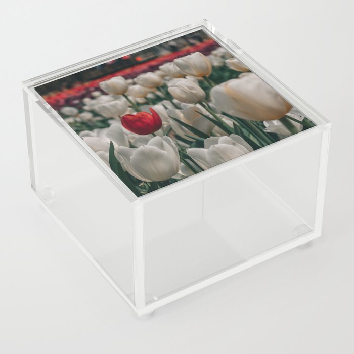 Stand Out Acrylic Box