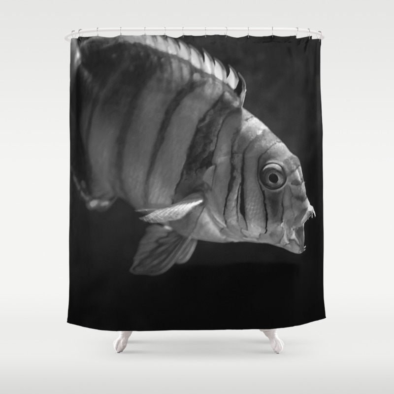 Clown Fish Black And White Shower Curtain By Nocolordesigns