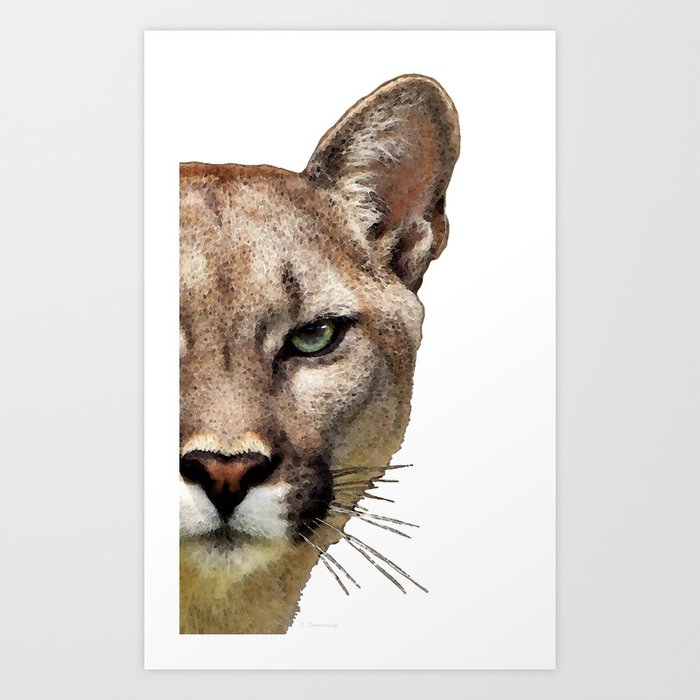 Puma art sales