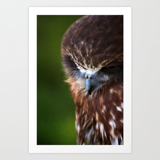 Quand le hibou chante, la nuit est silence. Art Print