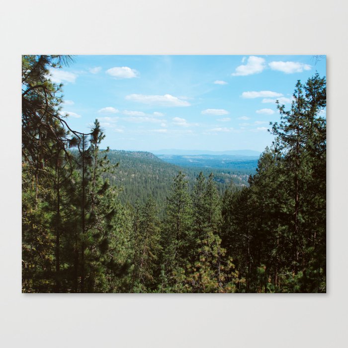 Canvas Print