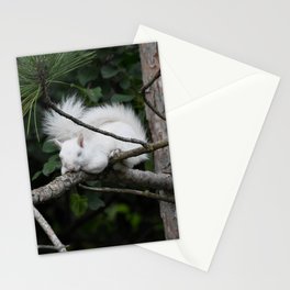 Sleeping Lily the beautiful White Albino Squirrel Stationery Card