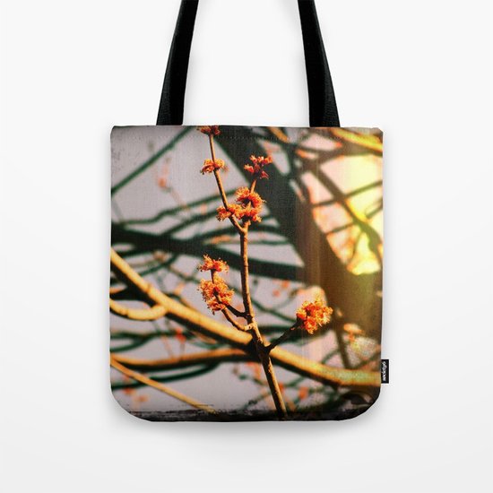 Spring Tote Bag