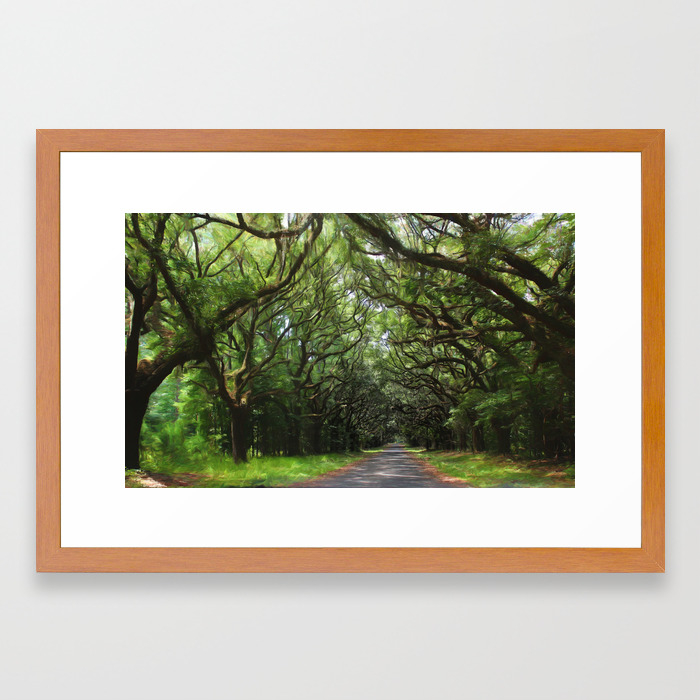 Magical Southern Oaks Framed Art Print By Tntintimatephoto Society6