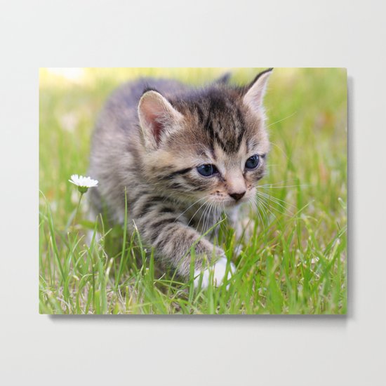 Cat Metal Print