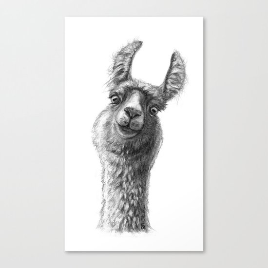 Cute Llama G135 Canvas Print