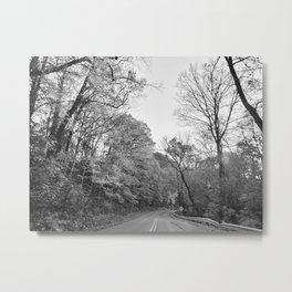 I want the solitude that lives just behind your sternum, nestled into your collar bones Metal Print | Road, Digital, Fall, Black And White, Windy, Autumn, Trees, Photo 