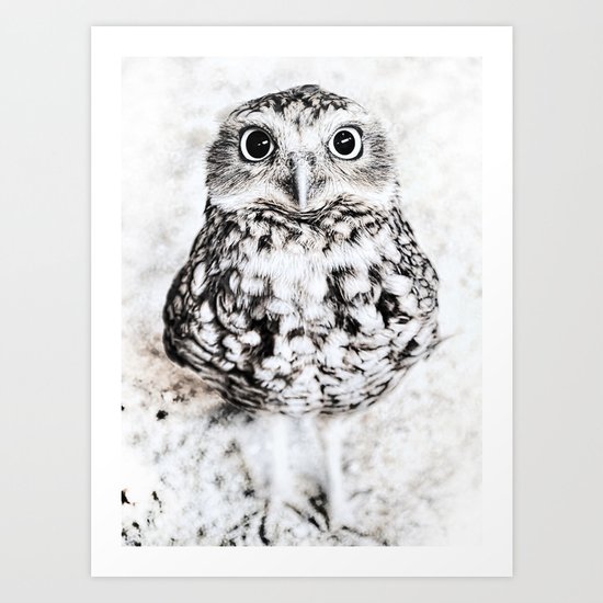 owl Art Print