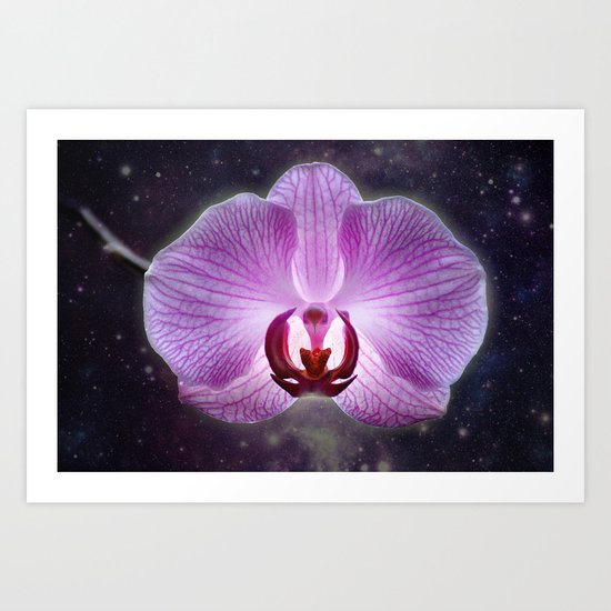 Orchidee Art Print
