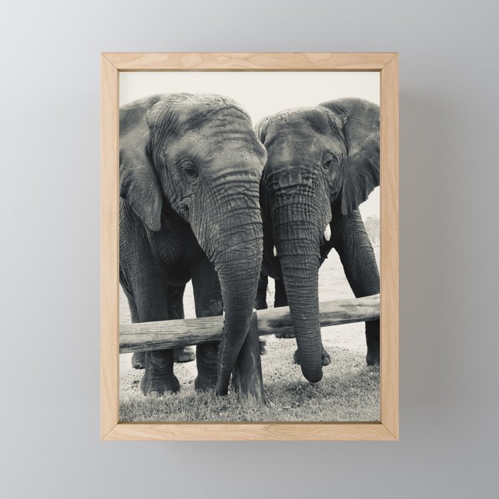 Elephants in Love Framed Mini Art Print