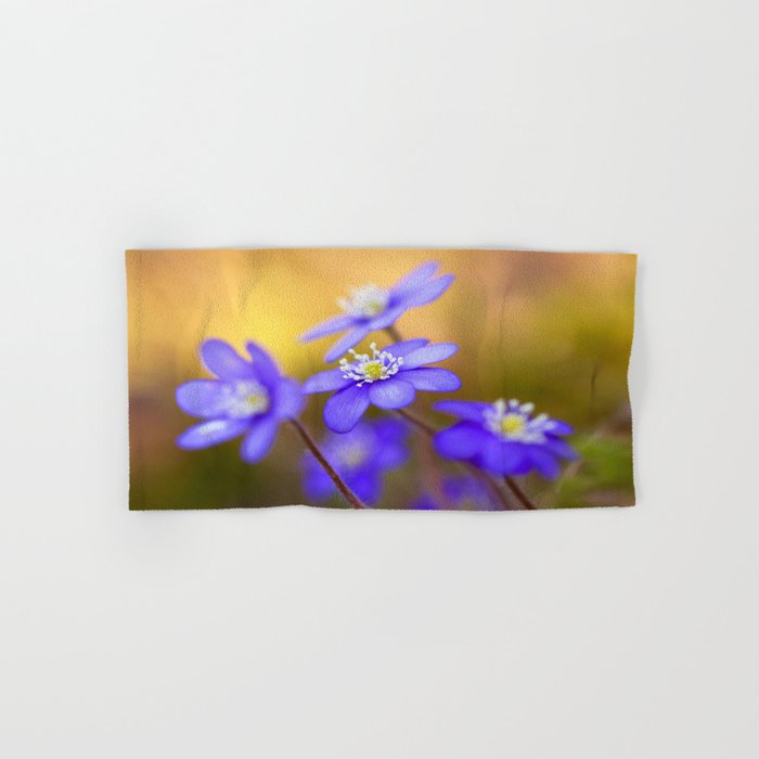 Spring Wildflowers, Beautiful Hepatica in the forest on a sunny and colorful background #decor #soci Hand & Bath Towel