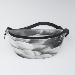# 178 Fanny Pack