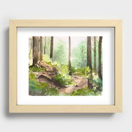 Forest walk illustration  Recessed Framed Print