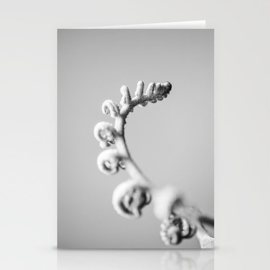 Fern Stationery Cards