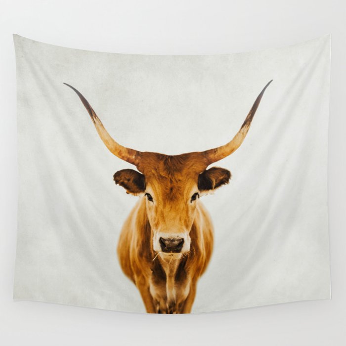 Wild Longhorn Cow Print - Tan Colored Cow - travel photography by Ingrid Beddoes Wandbehang | Fotografie, Horns, Art-print, Tier, Farm-animal, Beautiful, Honey-color, Cow-portrait, Beautiful-cow-photo, Brown-cow-photo