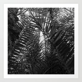 Black and White Palm Leaves Noir Upshot Art Print | Blackwhitepalms, Palmleavesartgift, Photo, Fineartpalmleaf, Classypalmleaves, Naturepalmleaves, Blackwhiteleaves, Palmleavesnoir, Palmleavesart, Elegantpalmleaves 