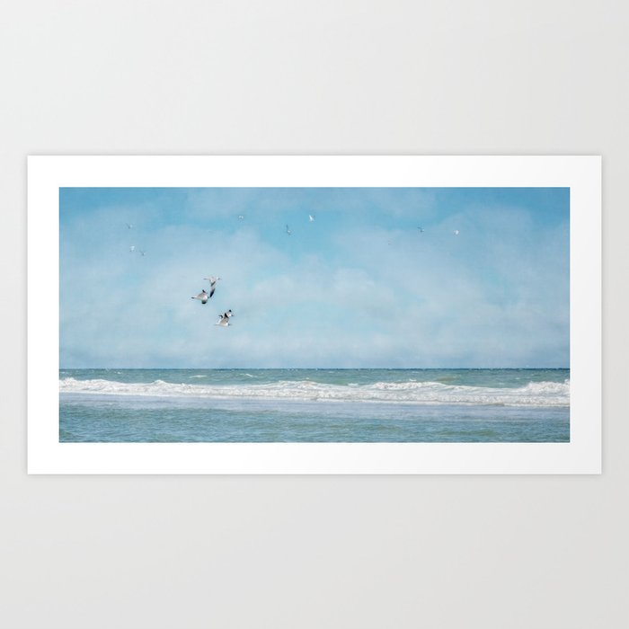 Terns in Flight, Truro Art Print