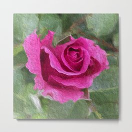 Pink Rose 916 Metal Print