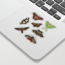 Moths Sticker