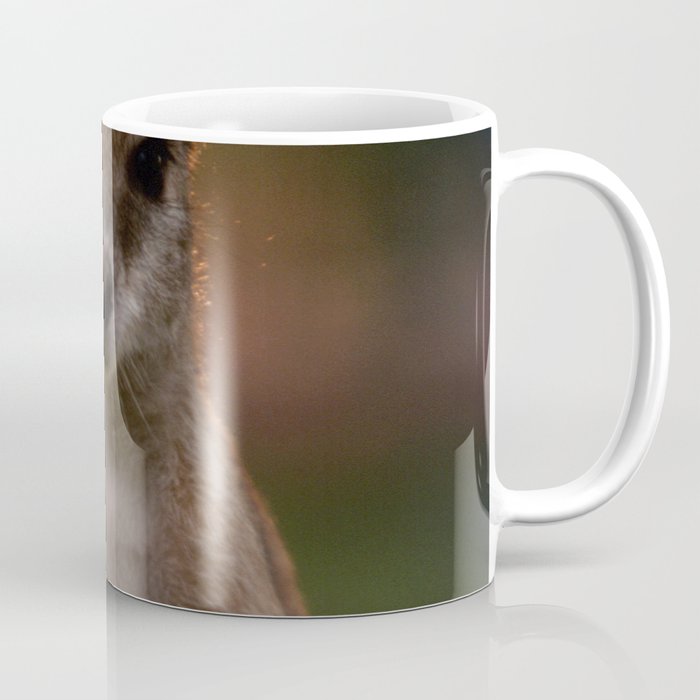 Australia Photography - Cute Baby Kangaroo Coffee Mug